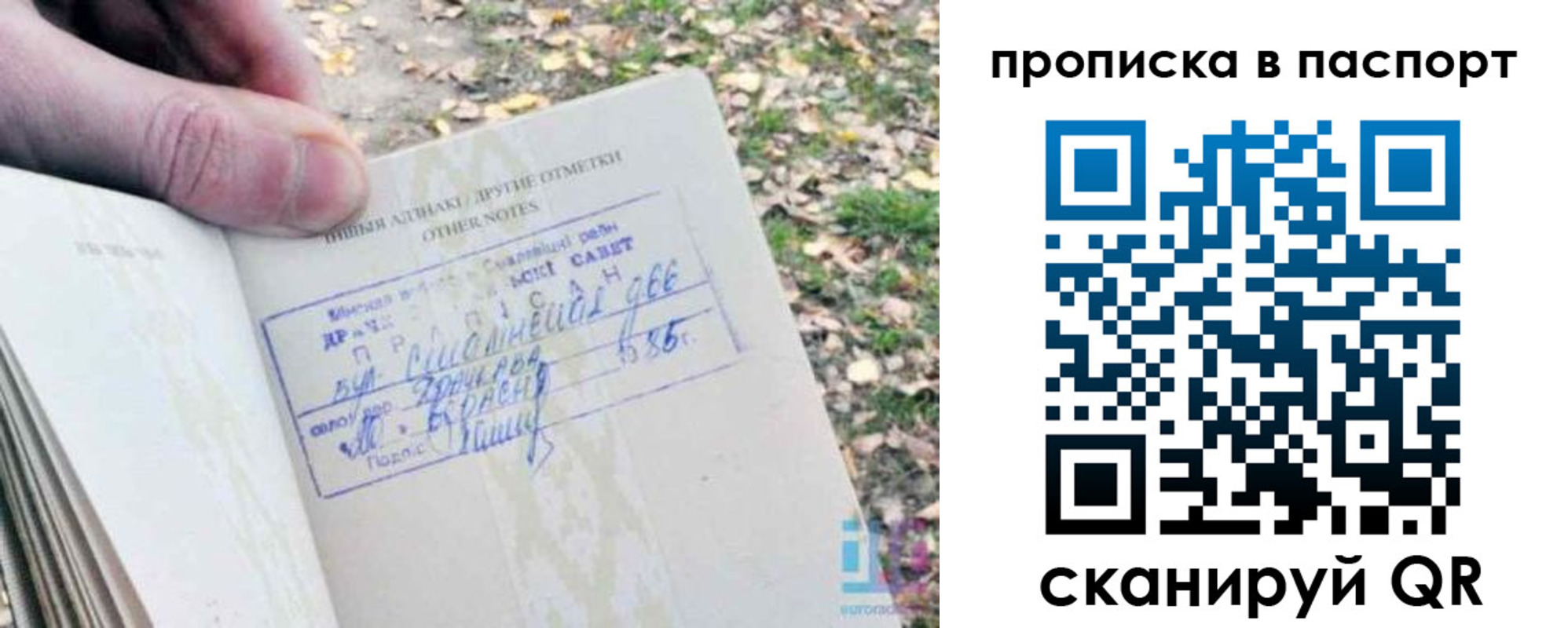 купить прописку в Дагестанских Огнях